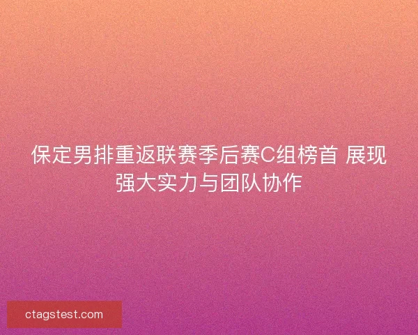 保定男排重返联赛季后赛C组榜首 展现强大实力与团队协作 保定男排重返联赛季后赛C组榜首 展现强大实力与团队协作