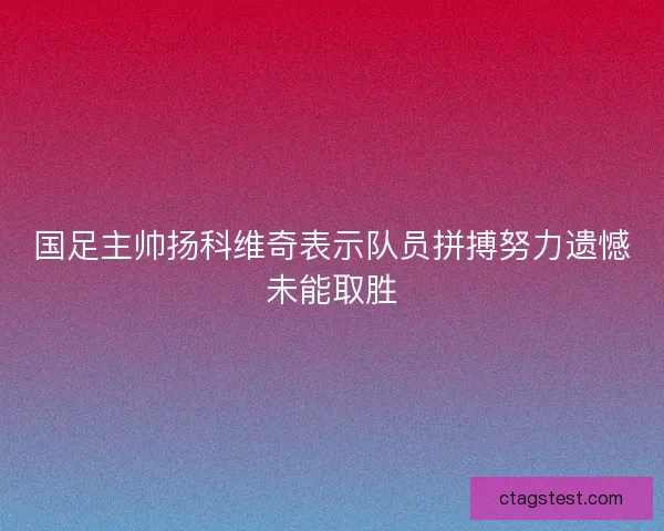 国足主帅扬科维奇表示队员拼搏努力遗憾未能取胜 国足主帅扬科维奇表示队员拼搏努力遗憾未能取胜